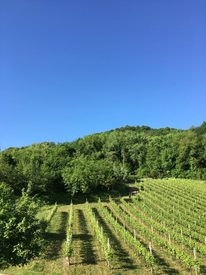 Agriturismo Lemire San Pietro Di Feletto Esterno foto