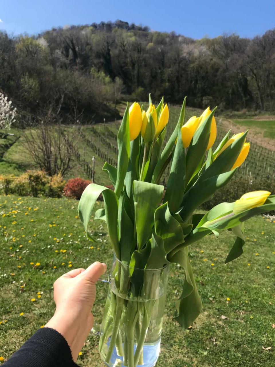 Agriturismo Lemire San Pietro Di Feletto Esterno foto